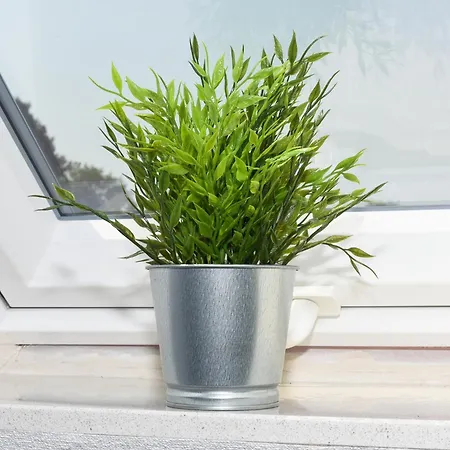 Friesenzauber Niederdorla